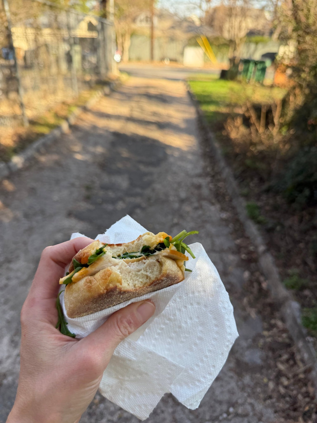 sugo, turkey and cheese sandwich