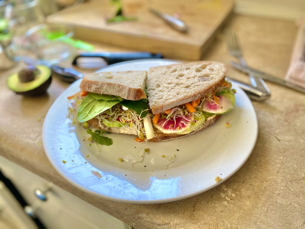 best veggie sandwich