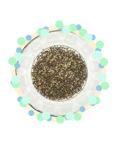 chia pudding - vanilla