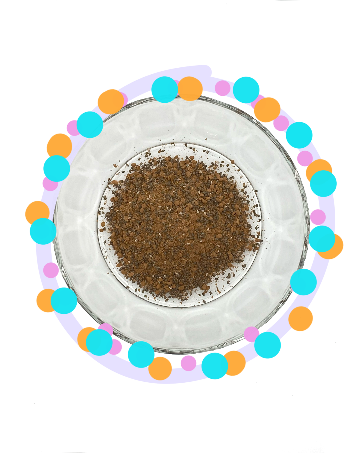 chia pudding - chocolate