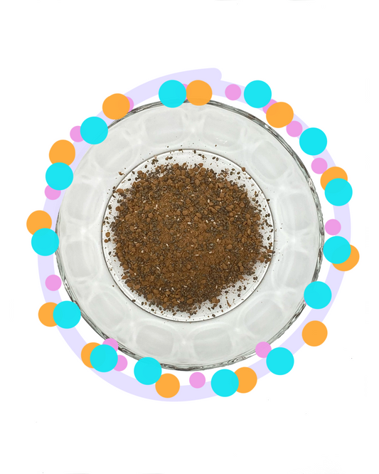 chia pudding - chocolate
