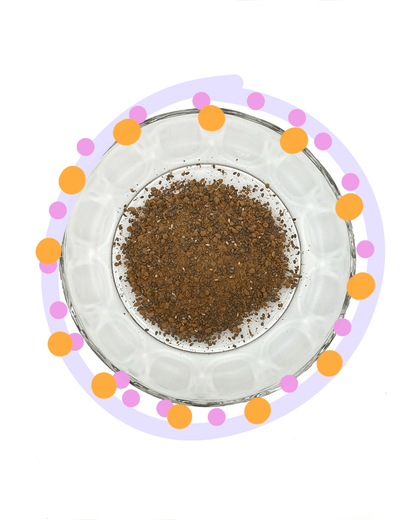 chia pudding - chocolate (3 pk)