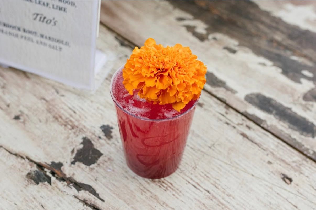 punch no. 7 - jungle bird (fruity, bright, floral)