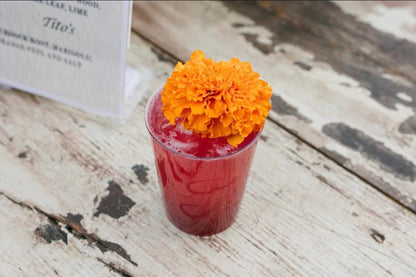 punch no. 7 - jungle bird (fruity, bright, floral)